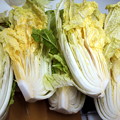 写真: 2017-11-06-白菜塩漬け