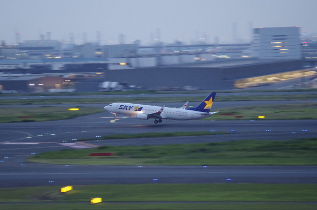 写真: 6月　羽田空港