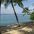 写真: 20101231 バラワンビーチ　その２