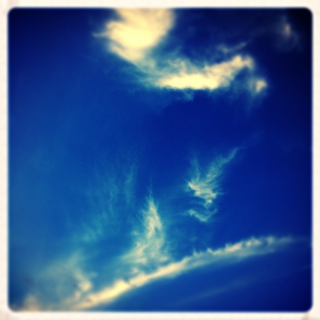 写真: 今日は巻雲の空でした