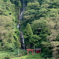 写真: 140908_01_白糸の滝(最上川) (2)