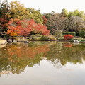 写真: rs-141117_02_日本庭園の紅葉・SH(昭和記念) (118)
