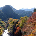 写真: rs-141122_09_北氷川橋よりの眺め(氷川渓谷) (4)