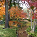 写真: rs-141130_01_紅葉山庭園の紅葉(喜多院) (34)