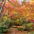 写真: rs-141130_01_紅葉山庭園の様子(喜多院) (2)