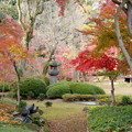 写真: rs-141130_01_紅葉山庭園の様子(喜多院) (8)
