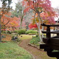 写真: rs-141130_01_紅葉山庭園の様子(喜多院) (28)