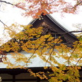 写真: rs-141130_01_慈恵堂と紅葉(喜多院) (2)