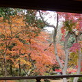 rs-141130_01_紅葉山庭園で京都を思う(喜多院) (3)