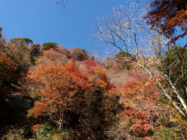 写真: rs-141202_13_日高邸跡からの眺め(梅が瀬渓谷) (8)