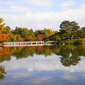 写真: 181105_11_日本庭園・スローシャッター・S18200・α60(昭和記念) (12)