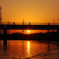 写真: 190130_71R_落陽の時・S18200(鶴見川) (39)
