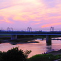 写真: 190626_56Y_夕景・S18200(多摩川) (117)