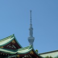 写真: 亀戸天神社.2