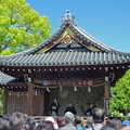 写真: 亀戸天神社.3