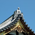 写真: 亀戸天神社.5