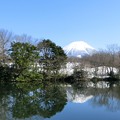 写真: 伯耆富士　大山