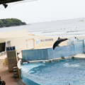 写真: 新江ノ島水族館-1039
