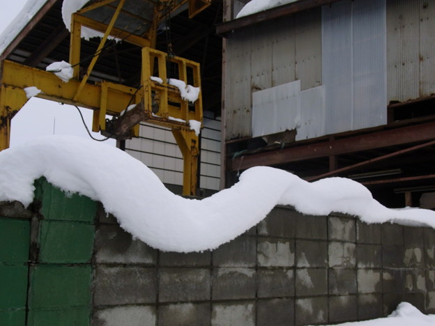 写真: 【東北】自然な雪のアート｜山形[2015]