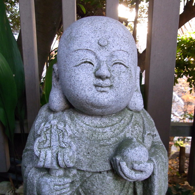 写真: 【東京｜神社仏閣】　大円寺　（６２）