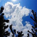 写真: 青空と雲と太陽