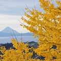 晩秋のさつま富士