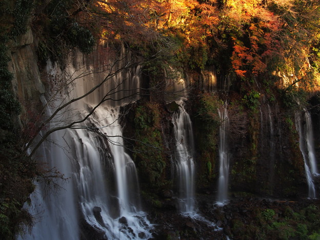 写真: 白糸の滝
