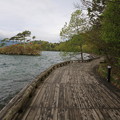 写真: 140518-3東北ツーリング・十和田湖・乙女の像への道