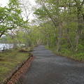 写真: 140518-7東北ツーリング・十和田湖・乙女の像への道