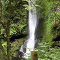 写真: 150629-53海沢園地へ滝を求めて・大滝