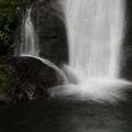写真: 150629-58海沢園地へ滝を求めて・大滝