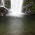 写真: 150629-61海沢園地へ滝を求めて・大滝