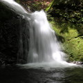 写真: 150629-67海沢園地へ滝を求めて・三ツ釜ノ滝