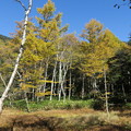 写真: 151016-120焼岳登山と上高地・黄葉の紅葉