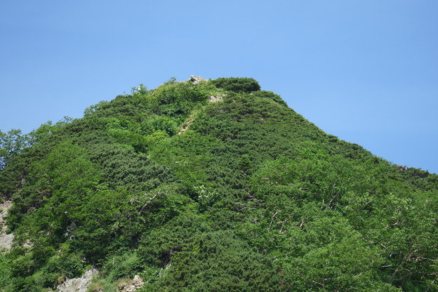 写真: 180726-38再挑戦「霞沢岳登山」・Ｋ１ピーク