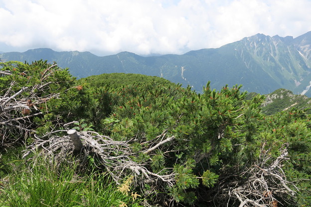 写真: 180726-77再挑戦「霞沢岳登山」・霞沢岳からの３６０度（２／９）