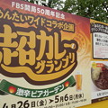 写真: 舞鶴公園で超カレーグランプリ。全国から集まってるのに福岡のカレー食べる。６日まで通ったら制覇出来るかな。