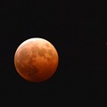 写真: 赤い月