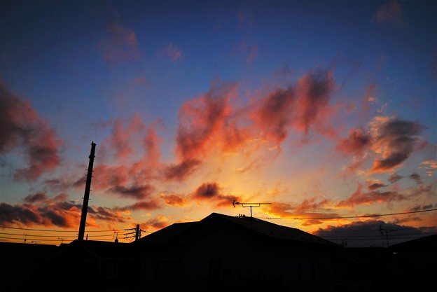 写真: 夕焼雲