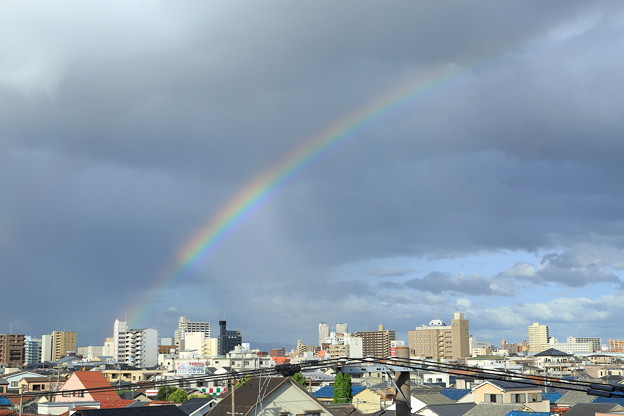 写真: 街中の虹