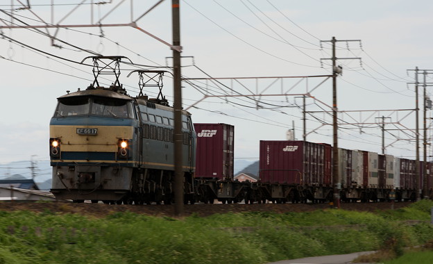 写真: EF66牽引貨物列車