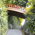 写真: 江の島神社　下道