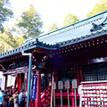 写真: 箱根神社2