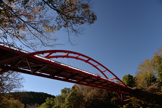 写真: 赤い橋