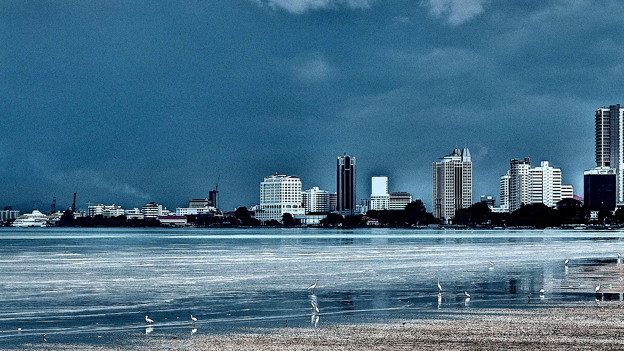 写真: ガーニーの海岸と白鷺