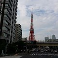 写真: 東京タワー（ドック結果説明、26.08.25）