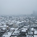 積雪（2015年1月30日12：20撮影、さいたま市浦和区にて）