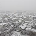 積雪（2018年1月22日14：56撮影、さいたま市浦和区にて）