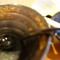 写真: ら~麺かすかべ。＠松戸DSC02490