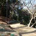 写真: 海神山緑地DSC05712